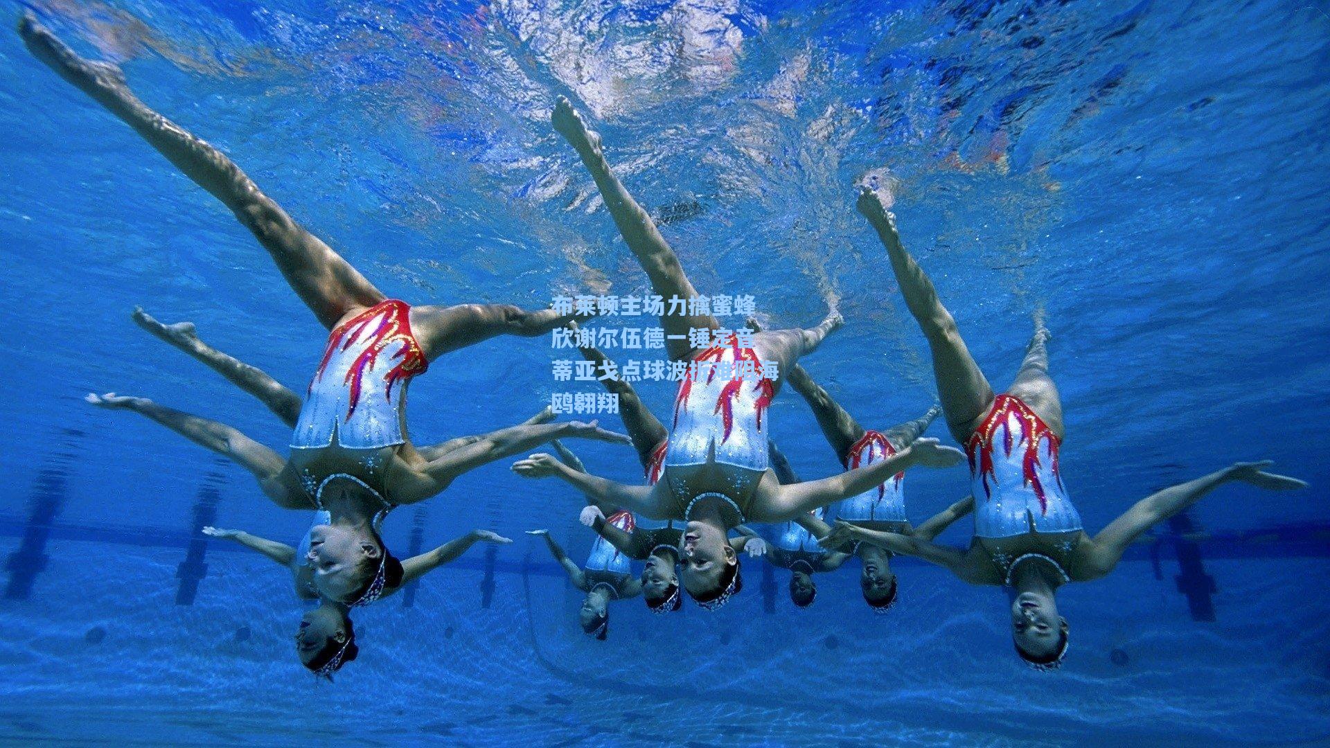 布莱顿主场力擒蜜蜂 欣谢尔伍德一锤定音 蒂亚戈点球波折难阻海鸥翱翔